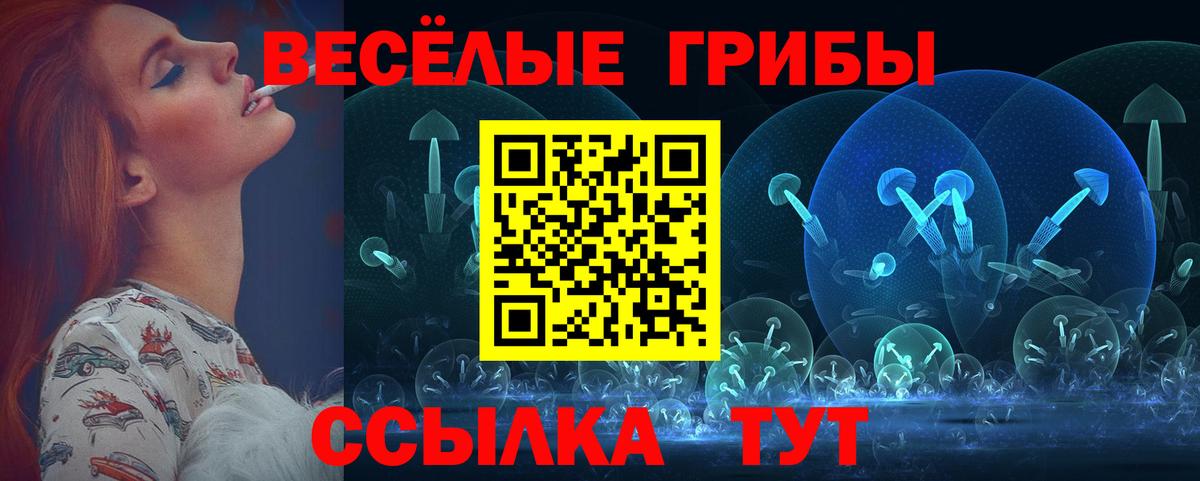 Галлюциногенные грибы прущие грибы  Вход с VPN  Качканар 